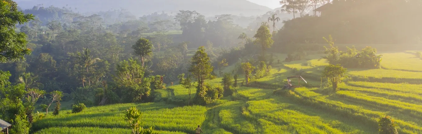 eSIM Indonesia kwa usafiri