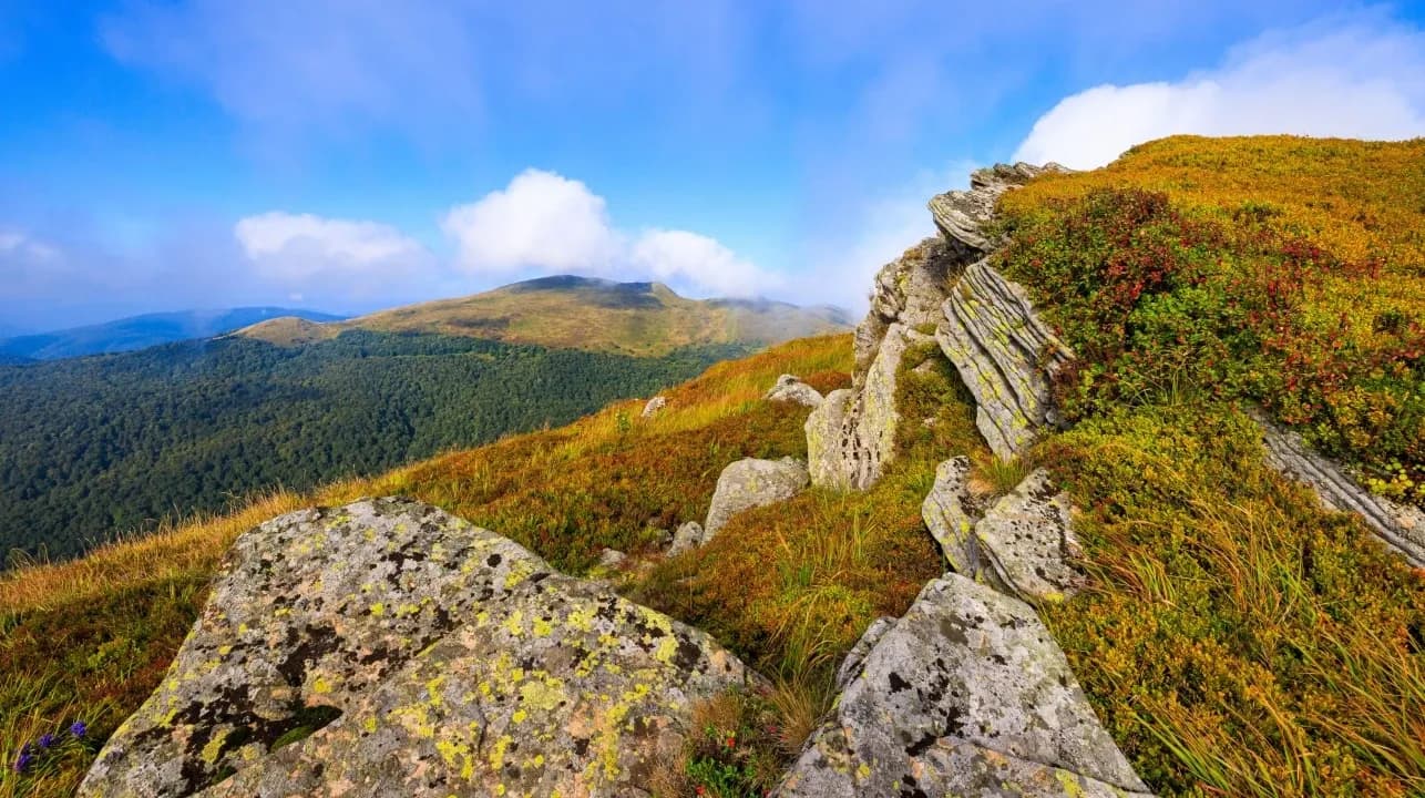 Bieszczady National Park