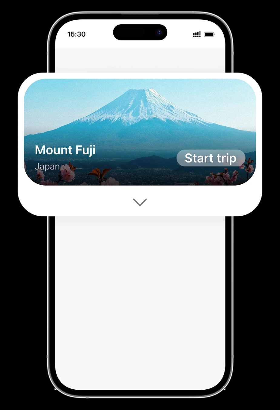 Partner offer screen