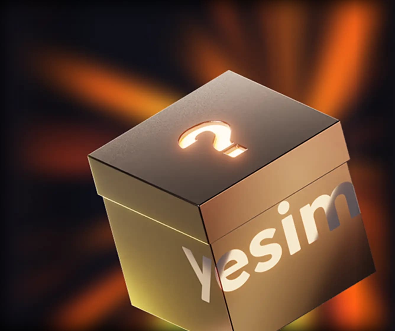 Едете в Турцию с друзьями или семьёй?