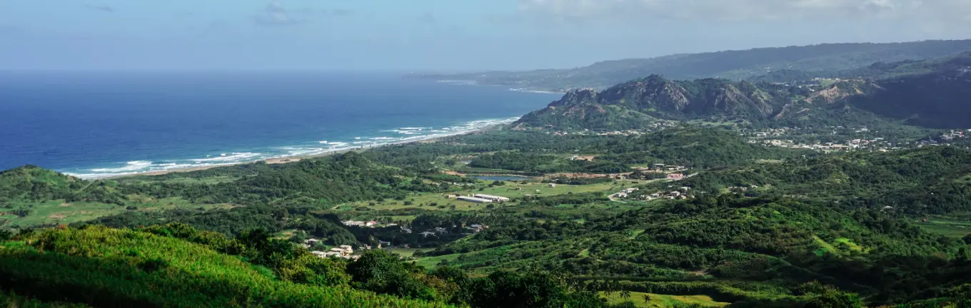 Semiz, qari, mustaqil fohishalar Jangarilarning dahshatli qiynoqlari: qatl qilishdan oldin jinsiy aloqa