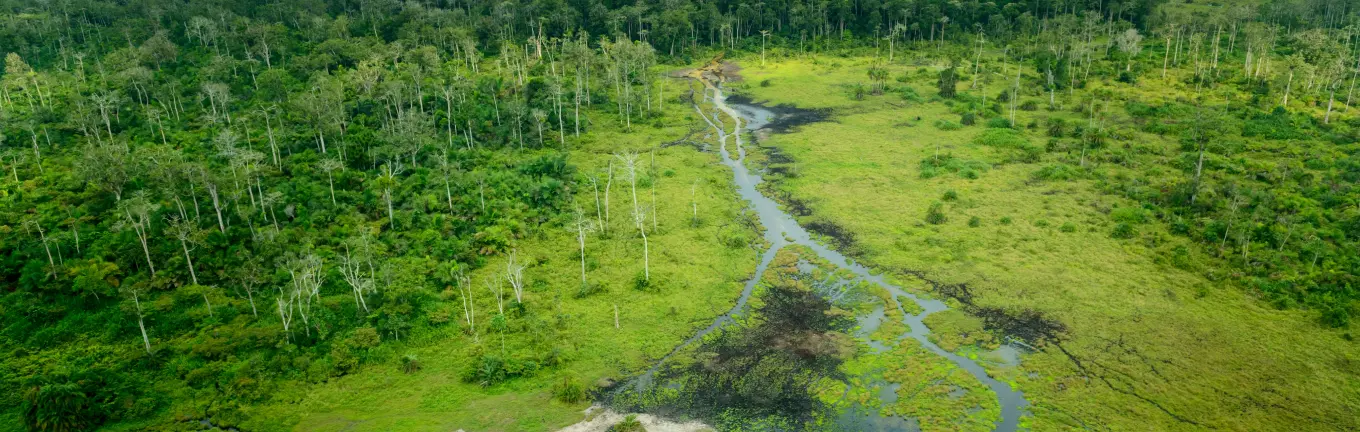 eSIM Կոնգո - Բրազավիլ ճանապարհորդության համար