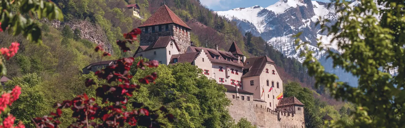 eSIM Liechtenstein reisimiseks