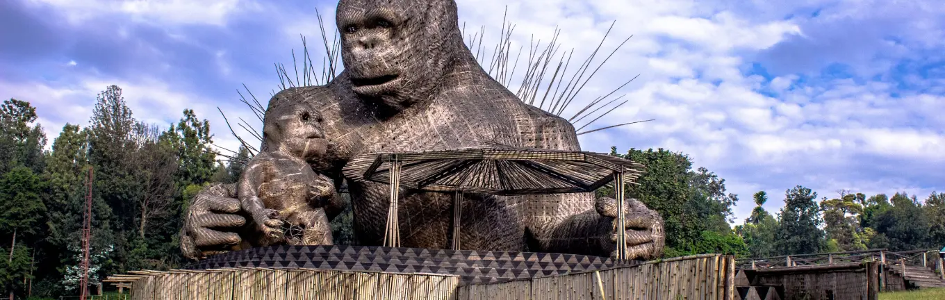 eSIM Rwanda til rejser