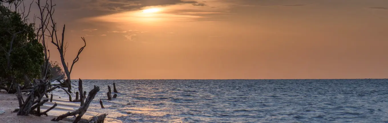 eSIM Surinam til rejser