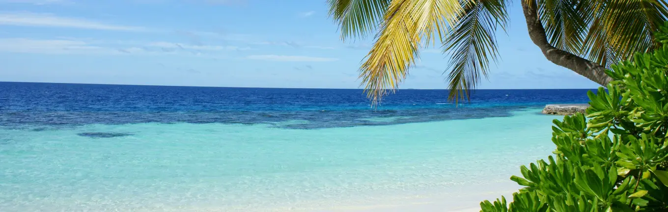 eSIM Տոնգա ճանապարհորդության համար