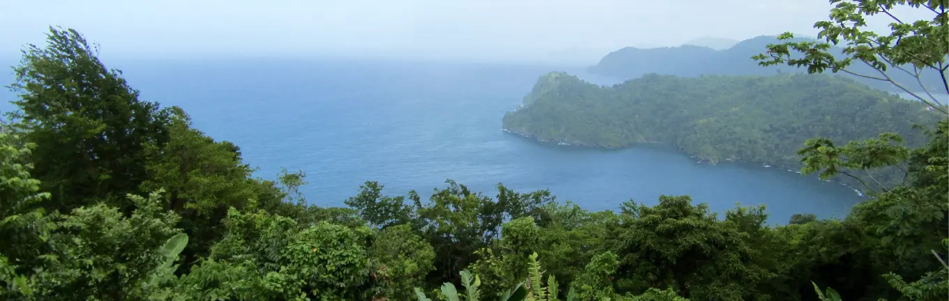 eSIM Trinidad og Tobago til rejser