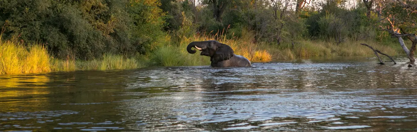 eSIM Sambia reisimiseks