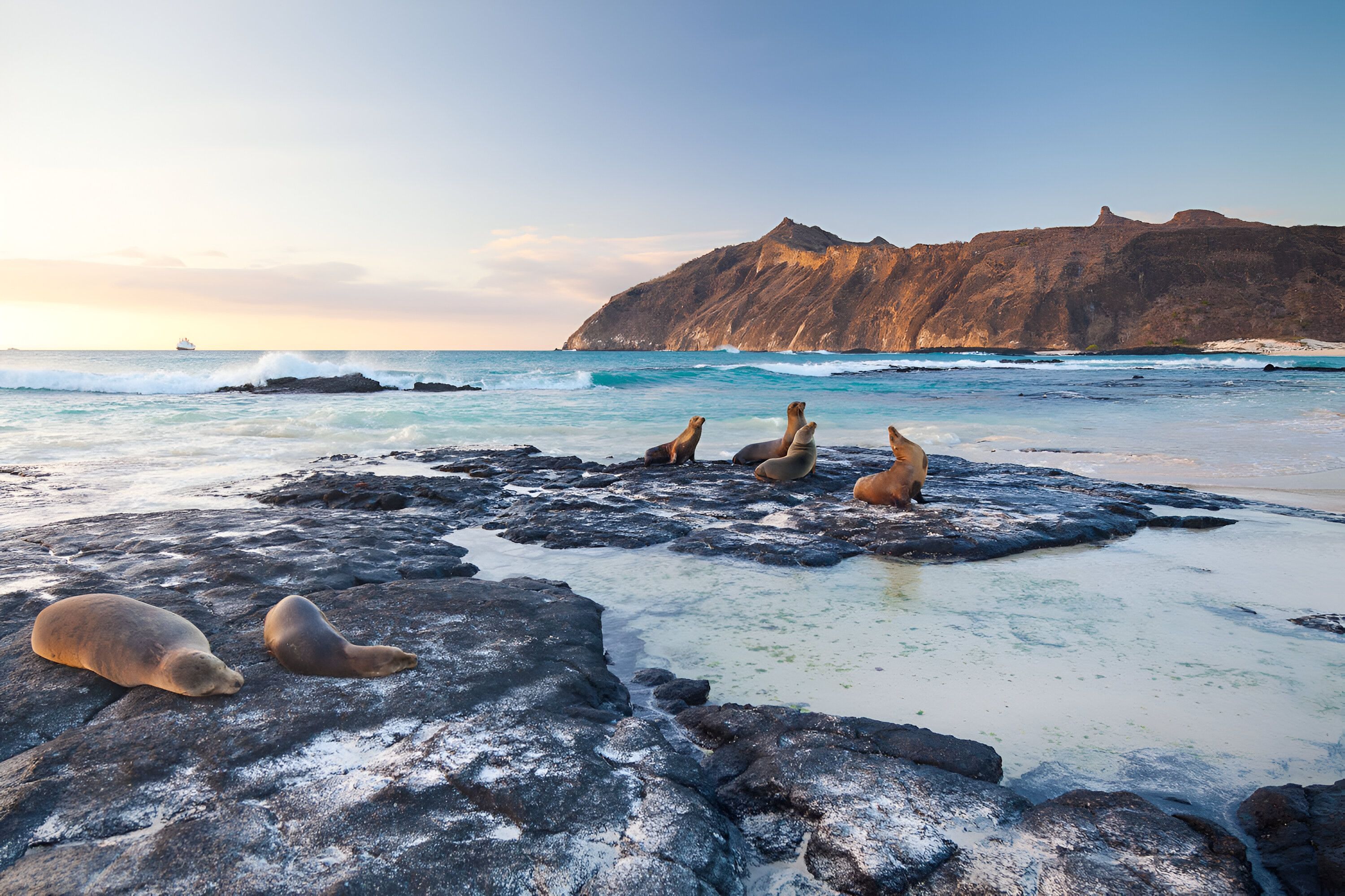 Galapagos